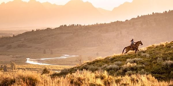 How Wyoming increased traveler interest ninefold through a TV campaign